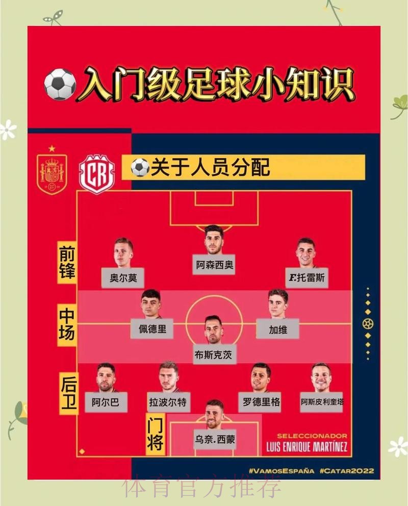 挑选最佳世界杯体育平台：权威推荐指南